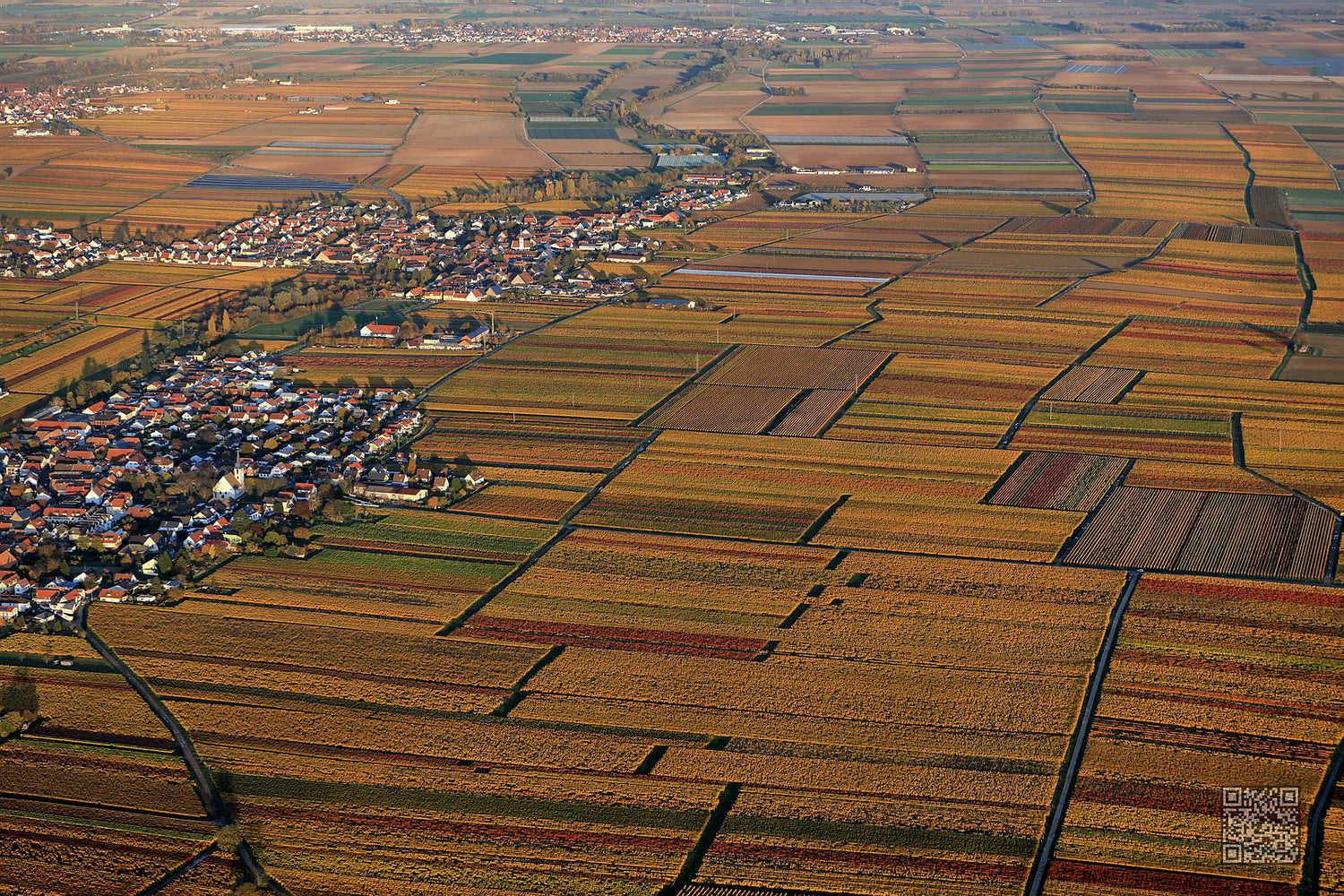 Ballonfahren in der Pfalz